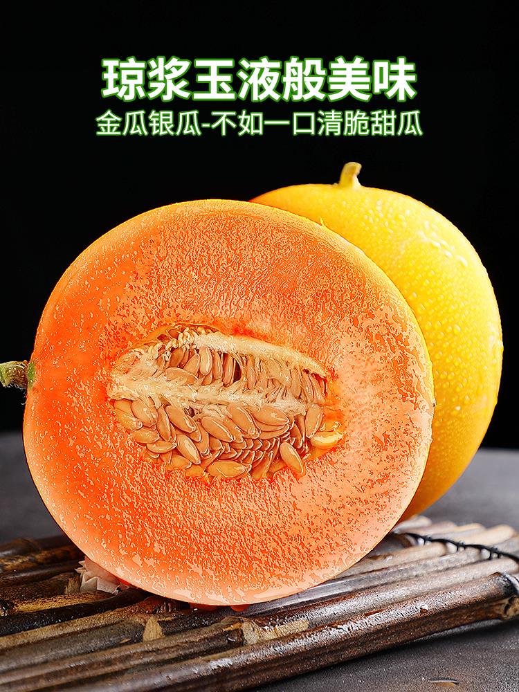 黄河蜜瓜甜瓜10斤装新鲜水果当季哈密瓜红金宝脆甜羊角小香瓜整箱 - 图0