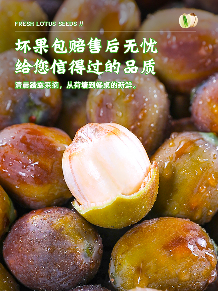 新鲜老莲子现摘生莲米4斤当季蔬菜现剥带壳莲子莲蓬头莲子心5 - 图3