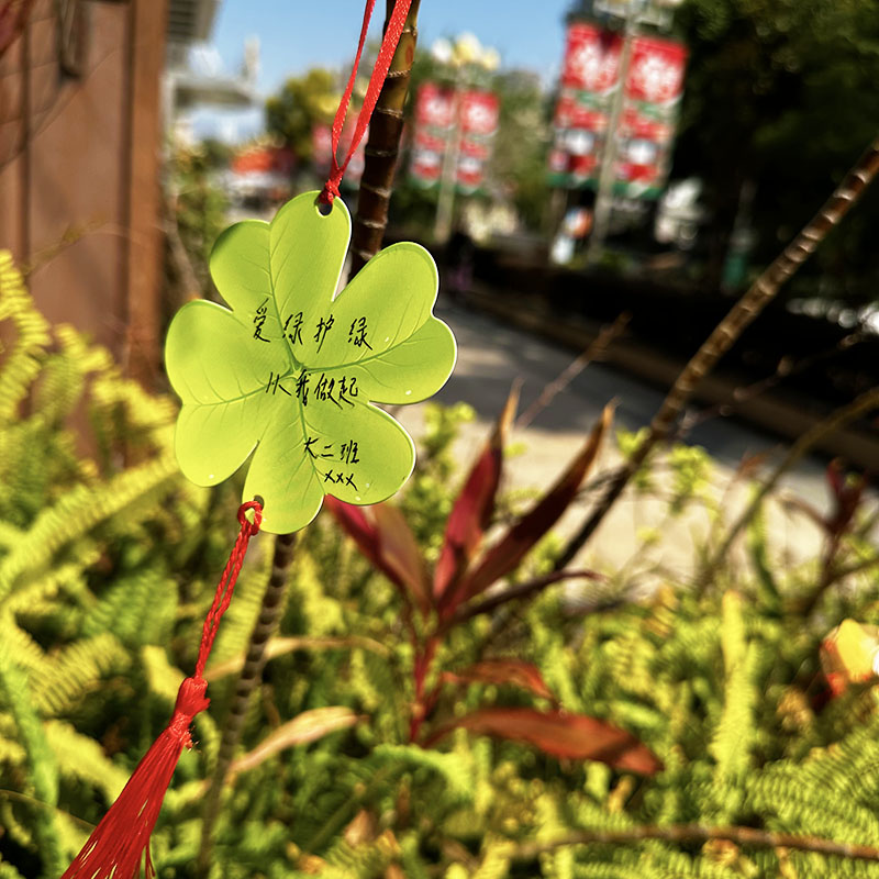 幼儿园小学生室户外防水绿色植树节悬挂牌许愿卡吊卡儿童贺卡手写梦想空白中高考初三心愿祝福绿叶子植物卡片 - 图0