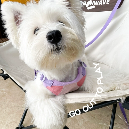 Майка топ, милые подтяжки, цепочка, с вышивкой