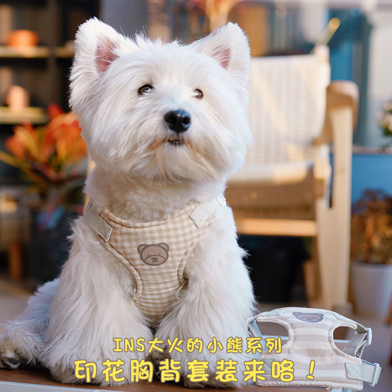狗狗牵引绳小型犬INS爆款可爱小熊狗绳宠物泰迪比熊外出胸背带-图0