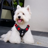 Веревка для собак, собаки, собачья веревка для сундука, большие собачья цепь собак Ходьба собачья жилет собака Золотая ретривера