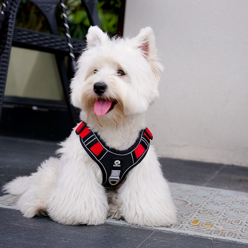 Веревка для собак, собаки, собачья веревка для сундука, большие собачья цепь собак Ходьба собачья жилет собака Золотая ретривера