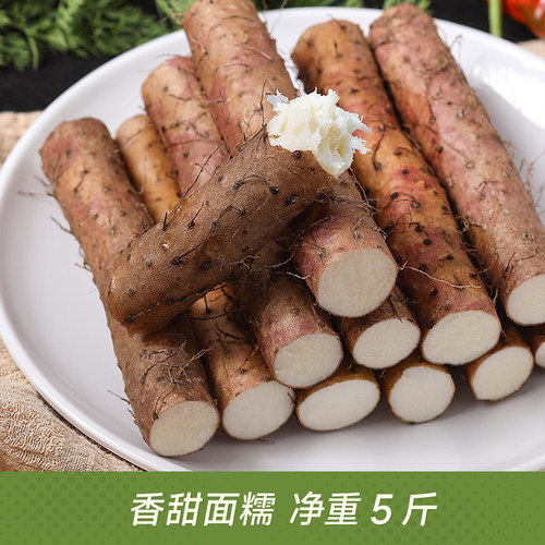 铁棍山药新鲜淮山药河南焦作温县正宗铁杆山药现挖山药5斤怀山药 - 图1