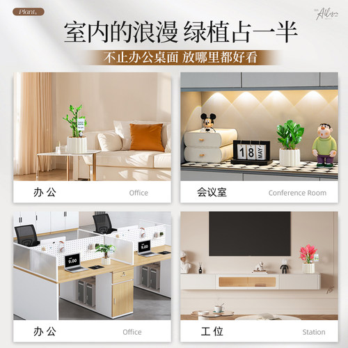 钱串子小盆栽花卉室内桌面招财摆件办公室绿植好养多肉植物耐旱 - 图3