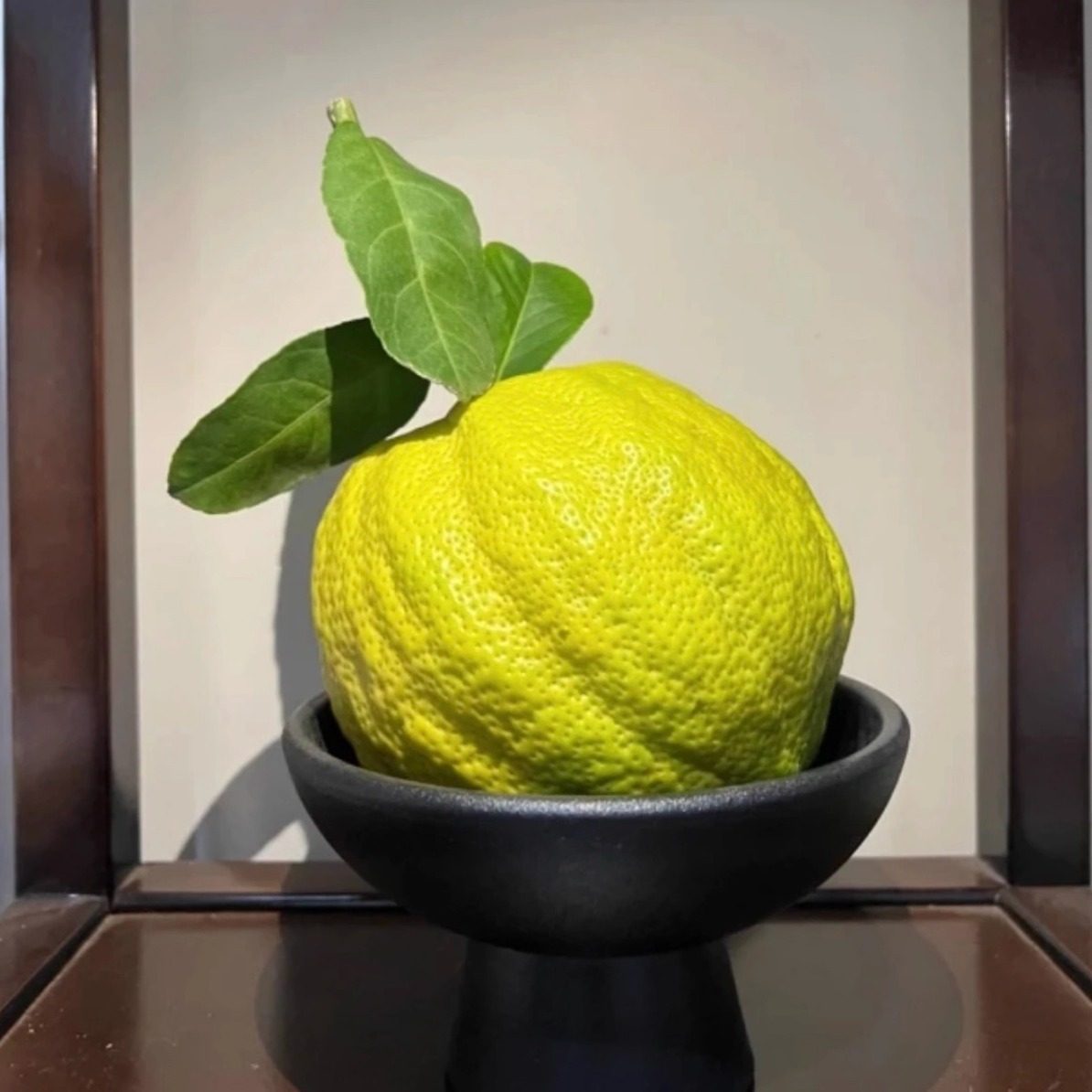 云南香橼新鲜绿植香橼果佛手柑现摘清供观赏闻香天然香薰自然清香,淘宝优惠券,粉丝福利购,淘宝优惠卷