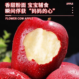 細節(jié)圖