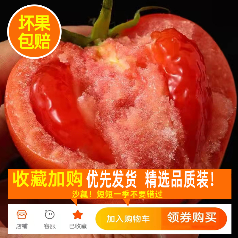攀枝花自然熟西红柿九新鲜自然熟生吃好吃沙瓤大番茄精选装 9斤装-图0