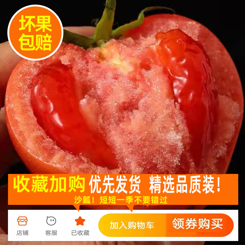 现摘攀枝花西红柿新鲜自然熟生吃好吃沙瓤大番茄精选装 9斤装