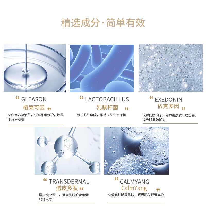 xdg栖朵嘉精华复活草混油皮爽肤水 xdg化妆水/爽肤水