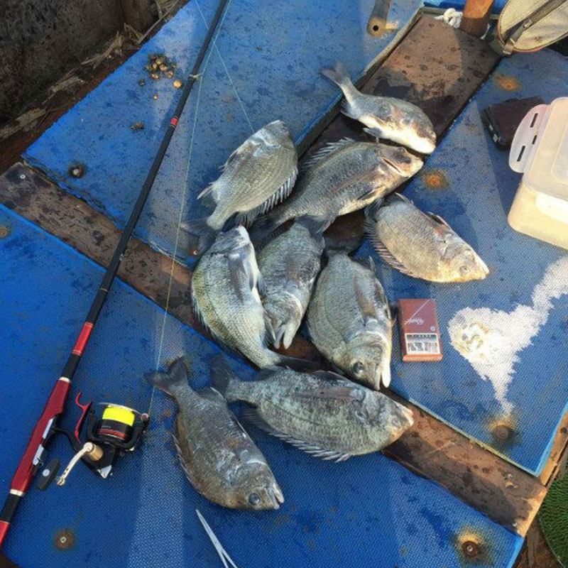 苏凝香矶钓竿海钓竿0.8 1.5 2 3号黑鲷杆碳素长节矶竿斜导环滑漂,淘宝优惠券,粉丝福利购,淘宝优惠卷