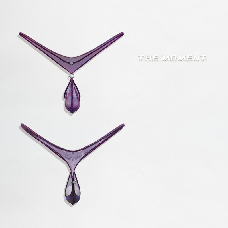 原创炫紫变色半透明鼻环中低腰深V丁字裤情设计师款色25新款男士,淘宝优惠券,粉丝福利购,淘宝优惠卷