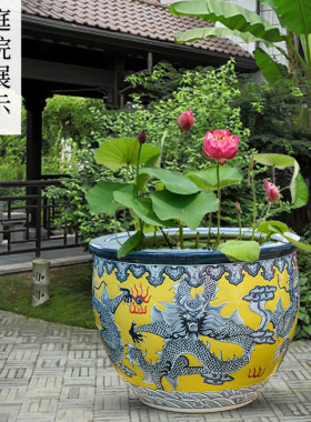 特大陶瓷莲花养鱼盆室外庭院