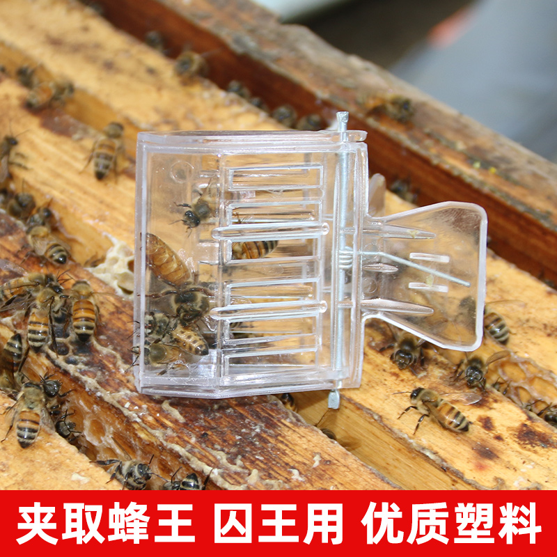 蜜蜂夹子蜂王笼中意蜂优质书夹囚王笼关王抓蜂王专用养蜂工具包邮