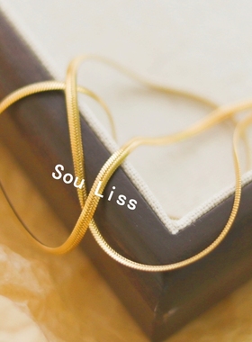 极简ins小众轻奢时尚钛钢项链女18K夏百搭精致高级感网红素蛇骨链