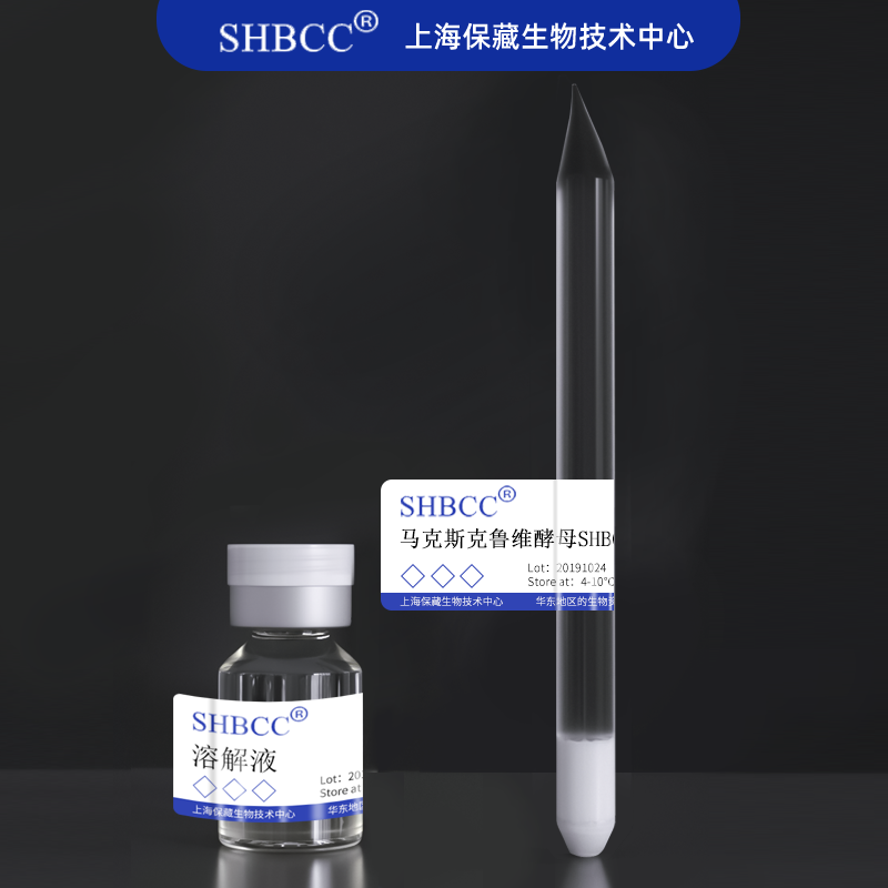 马克斯克鲁维酵母SHBCC D57014非模式菌株麦芽汁琼脂培养基25℃-图1