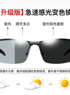 伯普森偏光变色眼镜开车专用眼镜镜日夜两用变色太阳眼镜骑行眼镜