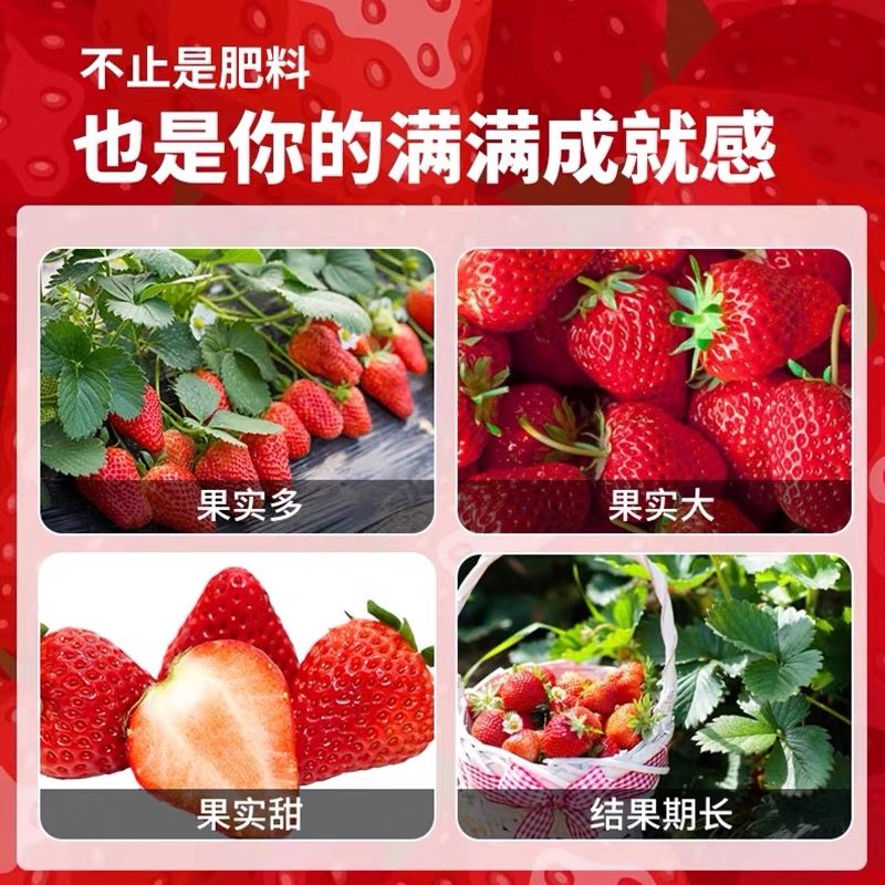 草莓专用肥料家用缓释肥盆栽有机肥复合肥开花结果平衡肥施肥化肥,淘宝优惠券,粉丝福利购,淘宝优惠卷