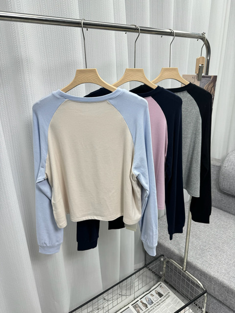 New for spring! Korean niche raglan sleeve T-shirt with color block letter embroidery round neck long-sleeved sweatshirt short top