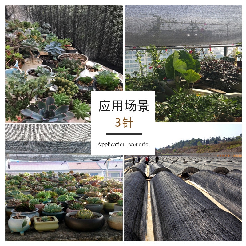 多肉植物遮阳网防晒网黑色3针遮阴网家用庭院阳台花卉蔬菜遮光网 安易网业 淘优券 多肉植物遮阳网防晒网黑色3针遮阴网家用庭院阳台花卉蔬菜遮光网 安易网业 淘优券