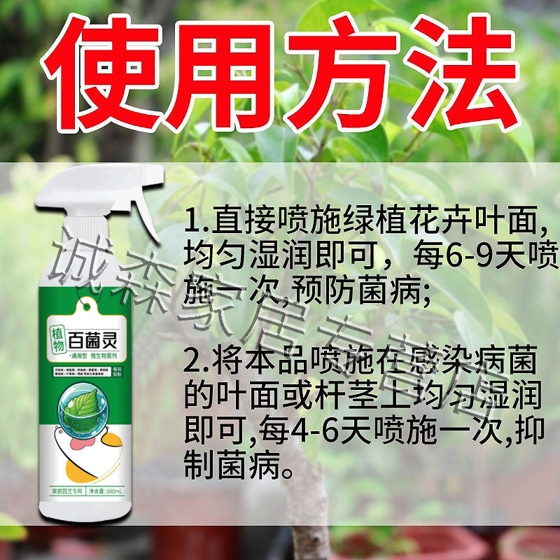 九里香专用肥黄叶白粉虫叶枯病一喷绿叶面杀菌药剂花卉植物营养液,淘宝优惠券,粉丝福利购,淘宝优惠卷