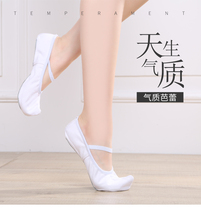 North Korean Traditional Dance Shoes Boy Genk Dance Shoes White Classical Dance Shoes Indoor Practice Dance Shoes Flat Bottom