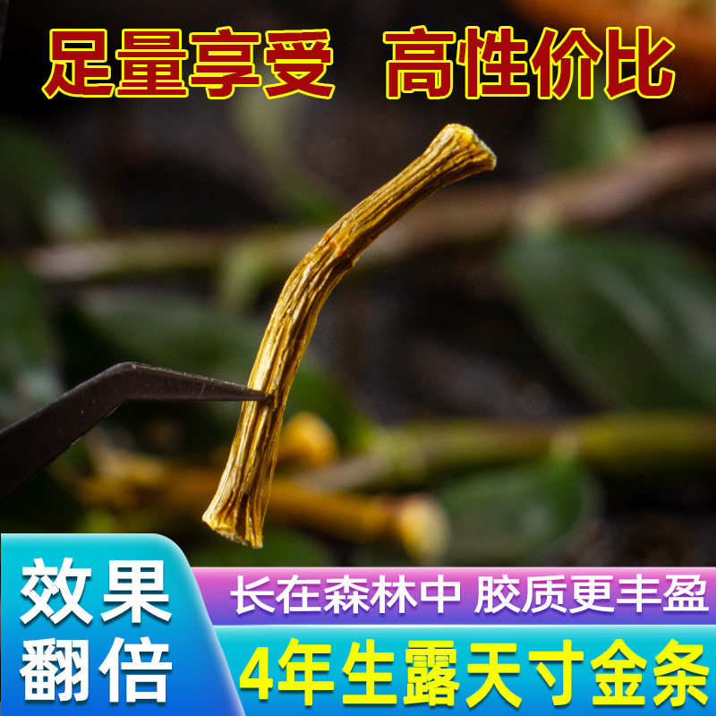 云南铁皮干条500g正品特级颗粒枫斗 钦草堂石斛/枫斗