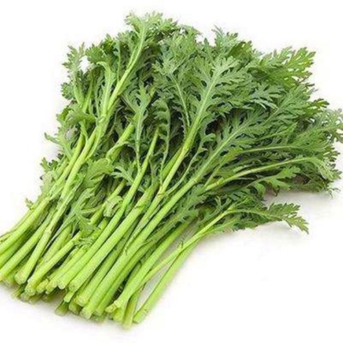 光杆小叶茼蒿种子日本引进茼蒿菜籽皇帝菜四季种子耐热耐寒蔬菜籽 - 图3
