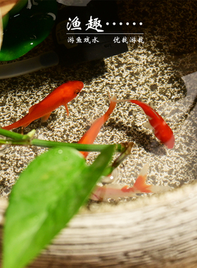 新中式客厅电视柜招财风水轮流水摆D件鱼缸造景循环水景桌面小喷