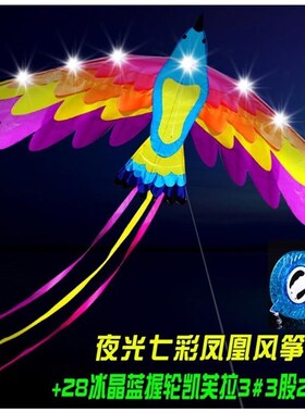 夜光风风11647筝高端0风筝2x2筝2新款ed带灯光坊l潍夜光大型风筝