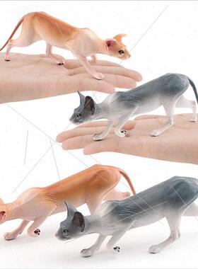 Pet Cat Model Animal Ornament Canadian Hairless Cat Sphinx C