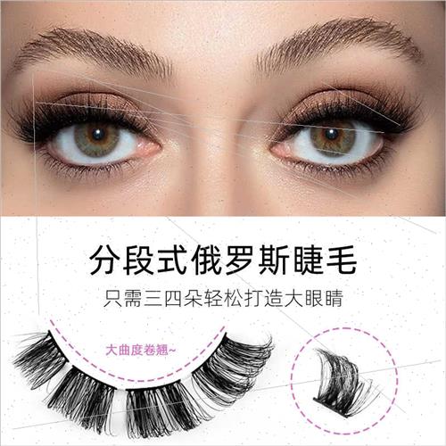 New DD Curl Segmented Russian Volume Eyelashes Europe Natura - 图1