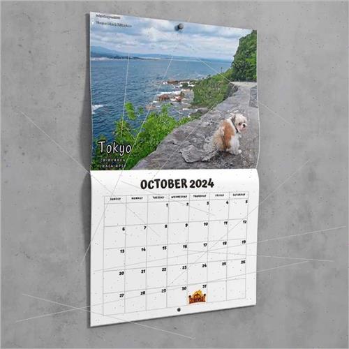 Nature Dick Pics Poo Poo Dogs 2024 Sh Calendar SpoDesk Calen-图0