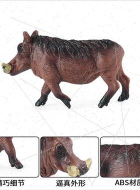 Static children toys simulation medium boar model lcrawling