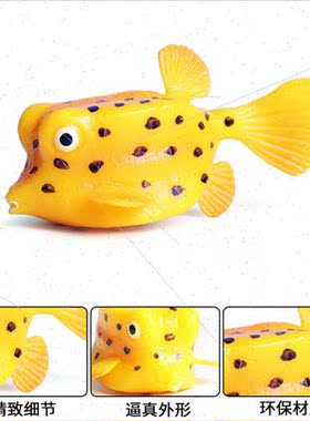 Children underwater creatures model toys ornaments box fish