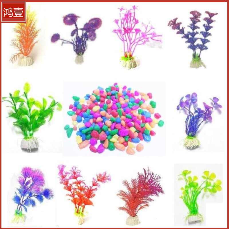 水草食用 新人首单立减十元 21年7月 淘宝海外