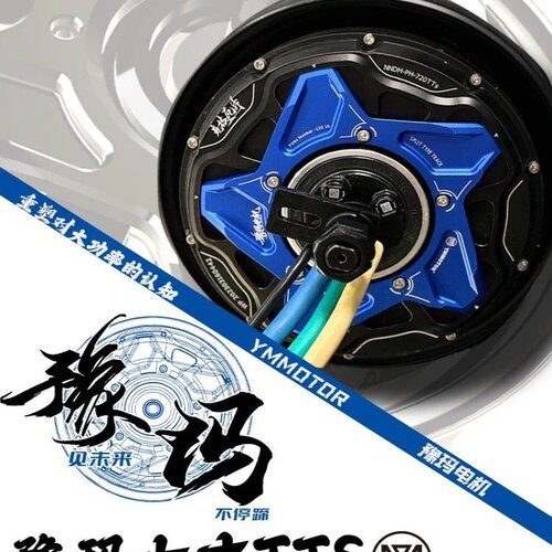 御马六代电机TTS10寸12寸赛道瓦片电机小牛九号碟刹电机通用光版 - 图0