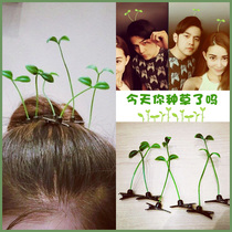 Small grass hair clip bean sprout decoration head long grass humbling with the same paragraph Liu Heiclip to blame the hair card with the card