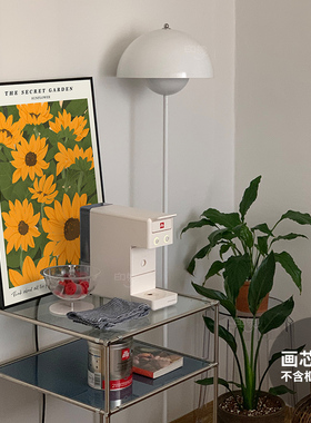 印象视觉 北欧ins风猫咪植物海报装饰画芯餐厅玄关挂画卧室摆画芯