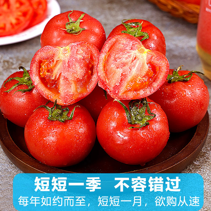 正宗沙瓤西红柿新鲜自然熟番茄草莓柿子斤酸甜生吃水非果普罗旺斯