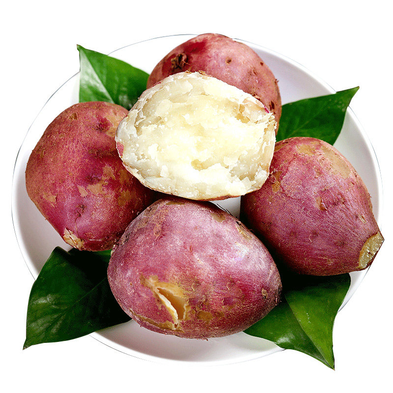 新鲜白心现挖2023年板栗山东白薯 果仁伊番薯