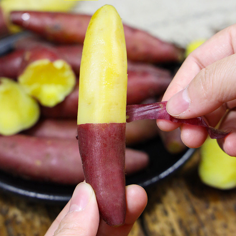 新鲜现挖临安天目山小香薯薯小红薯 果仁伊番薯