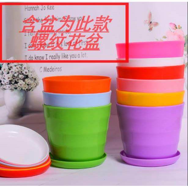 映山红杜鹃花四季好养活盆栽室内庭院植物杜娟花树状盆带花苞发货,淘宝优惠券,粉丝福利购,淘宝优惠卷