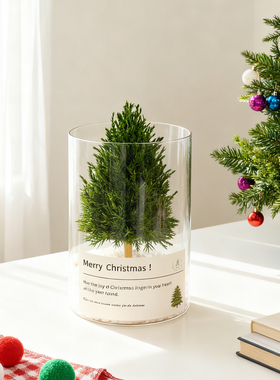 圣诞节桌面圣诞树真树摆件