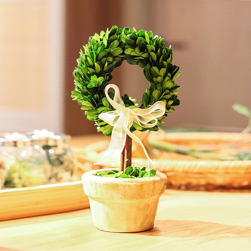 创意盆栽花卉植物办公室内绿植客厅桌面盆景七夕节礼物永生花干花,淘宝优惠券,粉丝福利购,淘宝优惠卷