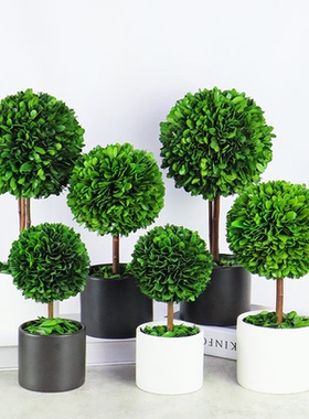 电视柜摆件永生绿植盆栽客厅桌面家居饰品玄关创意简约酒柜装饰品