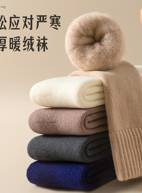 超厚羊毛袜子男秋冬款加绒长筒保