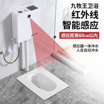 Intelligent inductive squatting pan squatting pit fully automatic flush water tank Home toilet flushing toilet urinals toilet urinal