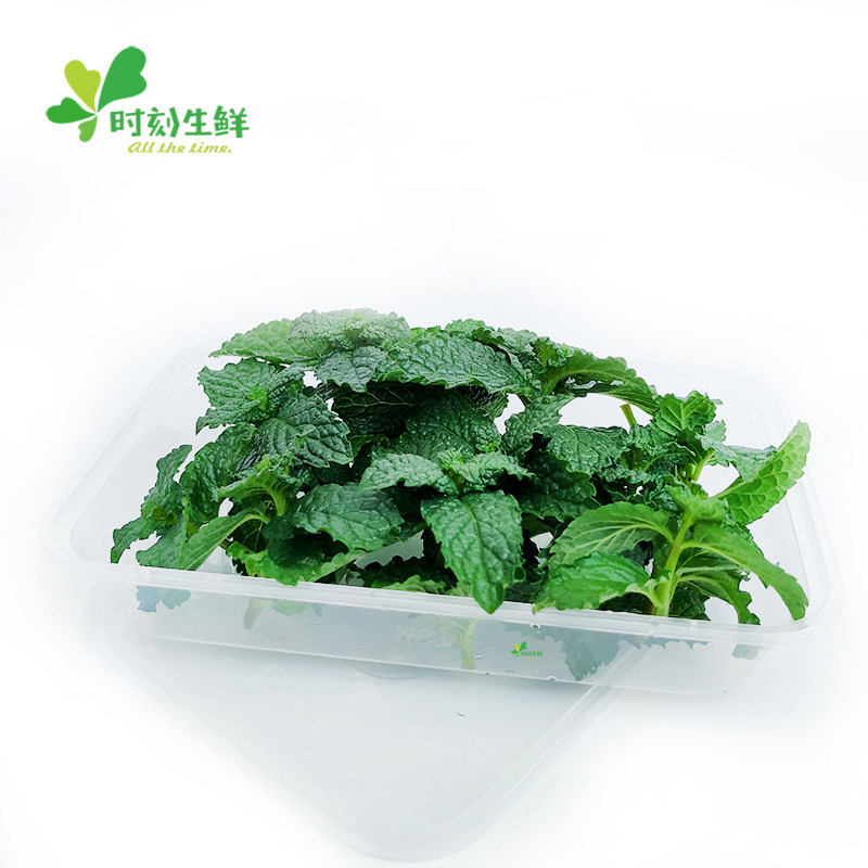 新鲜薄荷叶约40朵可食用薄荷头薄荷芽酒店西餐调酒蛋糕装饰点缀,淘宝优惠券,粉丝福利购,淘宝优惠卷