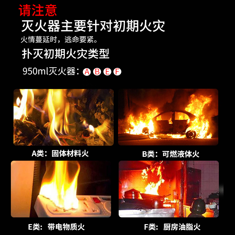 防冻型不锈钢水基灭火器车载消防应急包套汽车验车年检灭火器器材-图2